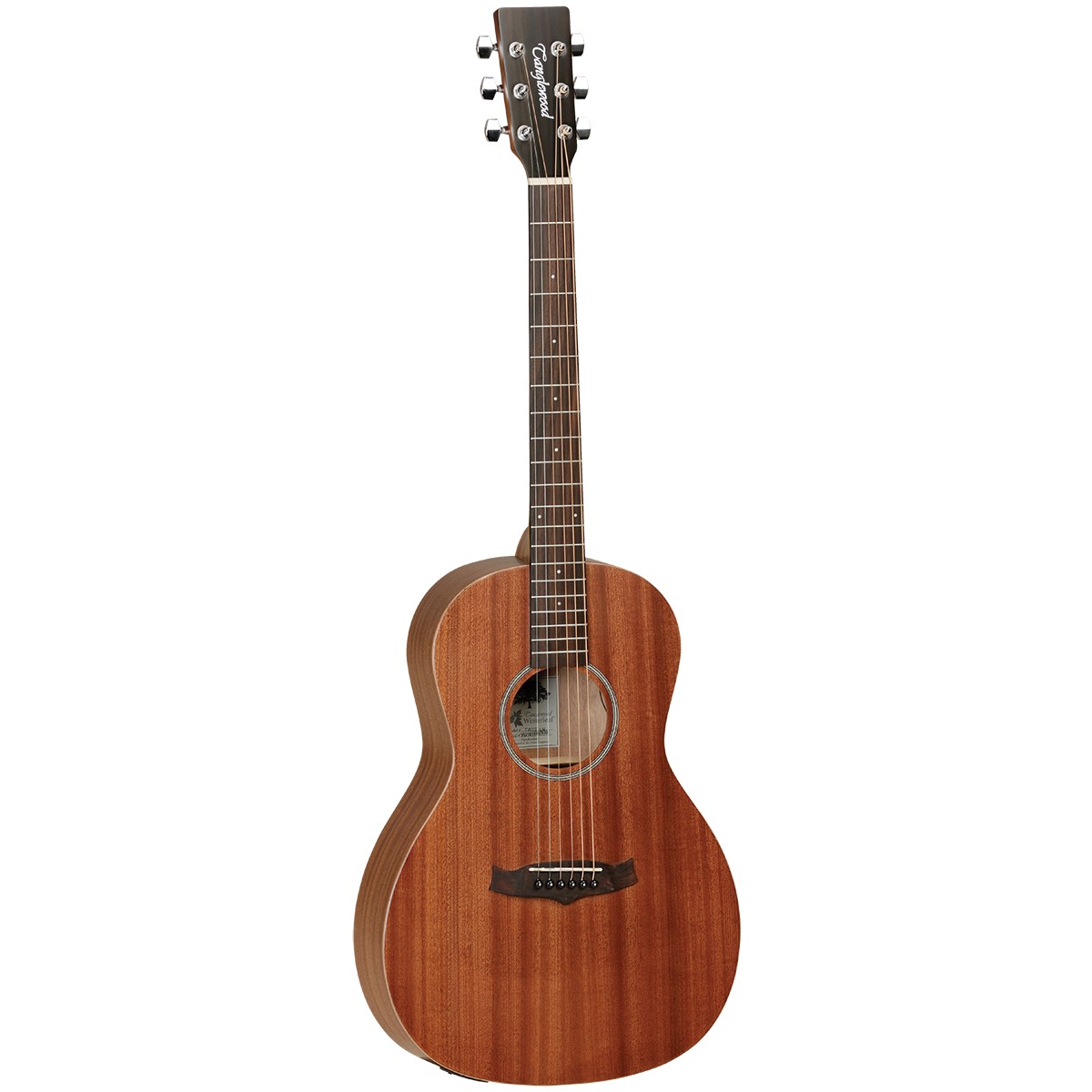 Tanglewood tw3e shop