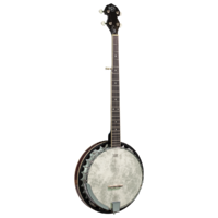 Barnes & Mullins BJ300 'Perfect' 5-String Banjo