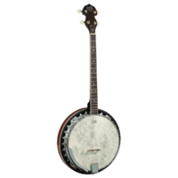 Barnes & Mullins BJ304 'Perfect' 4-String Tenor Banjo