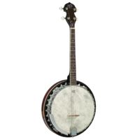 Barnes & Mullins BJ304GT 'Perfect' 4-String Gaelic Tenor Banjo