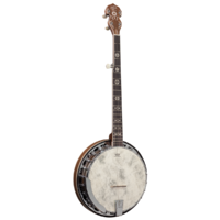 Barnes & Mullins BJ500BW Empress 5-String Banjo