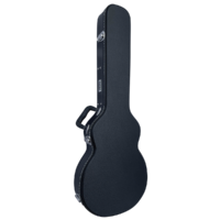 DCM WLP1  Wood Les Paul Case