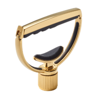 G7th Heritage 12-String Gold Capo Style 1