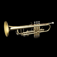 Grassi GRTR210 Trumpet Bb Gold Lacquer