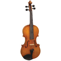 Hidersine Reserve WV400 4/4 Violin  Outfit Inc. Setup.