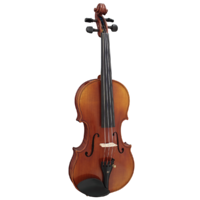 Hidersine WV50 Violin Outfit  4/4 Inc. Setup.