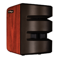 LR Baggs Synapse Personal PA System