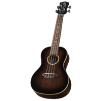 Luna UKEARTVC Uke Artist Vintage Distressed Concert with Gigbag