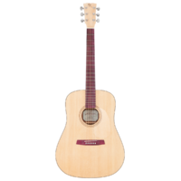 Kremona M10GGE Steel String Green Globe Acoustic Solid Spruce Top w/Case & LR Baggs pickup