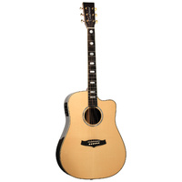 Tanglewood TW1000HSRCE Heritage Dreadnought C/E with ABS Case