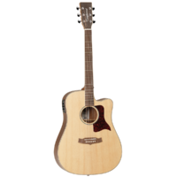 Tanglewood 15ASCE Sundance Performance Pro Dreadnought with ABS Case