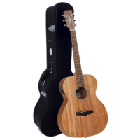 Tanglewood TW2E Winterleaf Orchestra with Case
