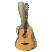 Tanglewood TW2TSE Winterleaf Traveller Spruce w/ PickUp & Bag