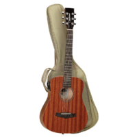 Tanglewood TW2TXE Winterleaf Traveller Mahogany w/ PickUp & Bag