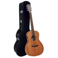 Tanglewood TW3E Winterleaf Parlour Mahoghany with Case