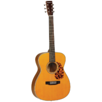 Tanglewood 40OANE  Sundance Historic Orchestra with Case