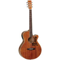 Tanglewood 47ASE Sundance Performance Pro Super Folk with ABS Case
