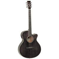 Tanglewood TW4BS Winterleaf Super Folk C/E Black Shadow