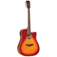 Tanglewood TW5SB Winterleaf Dreadnought C/E Sunburst