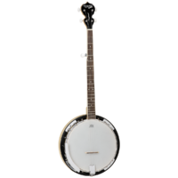 Tanglewood TWB18-M5  Union Banjo 5 String