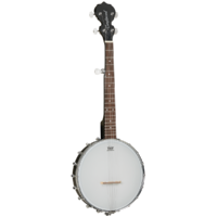 Tanglewood TWBT Traveller Banjo 5 String