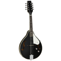 Union Series Mandolin Black With Pickup