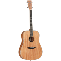 Tanglewood TWUD Union Dreadnought Solid Top Acoustic