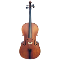 Vivo Elite Cello 4/4    Outfit