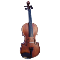Vivo Elite 3/4 Violin Outfit